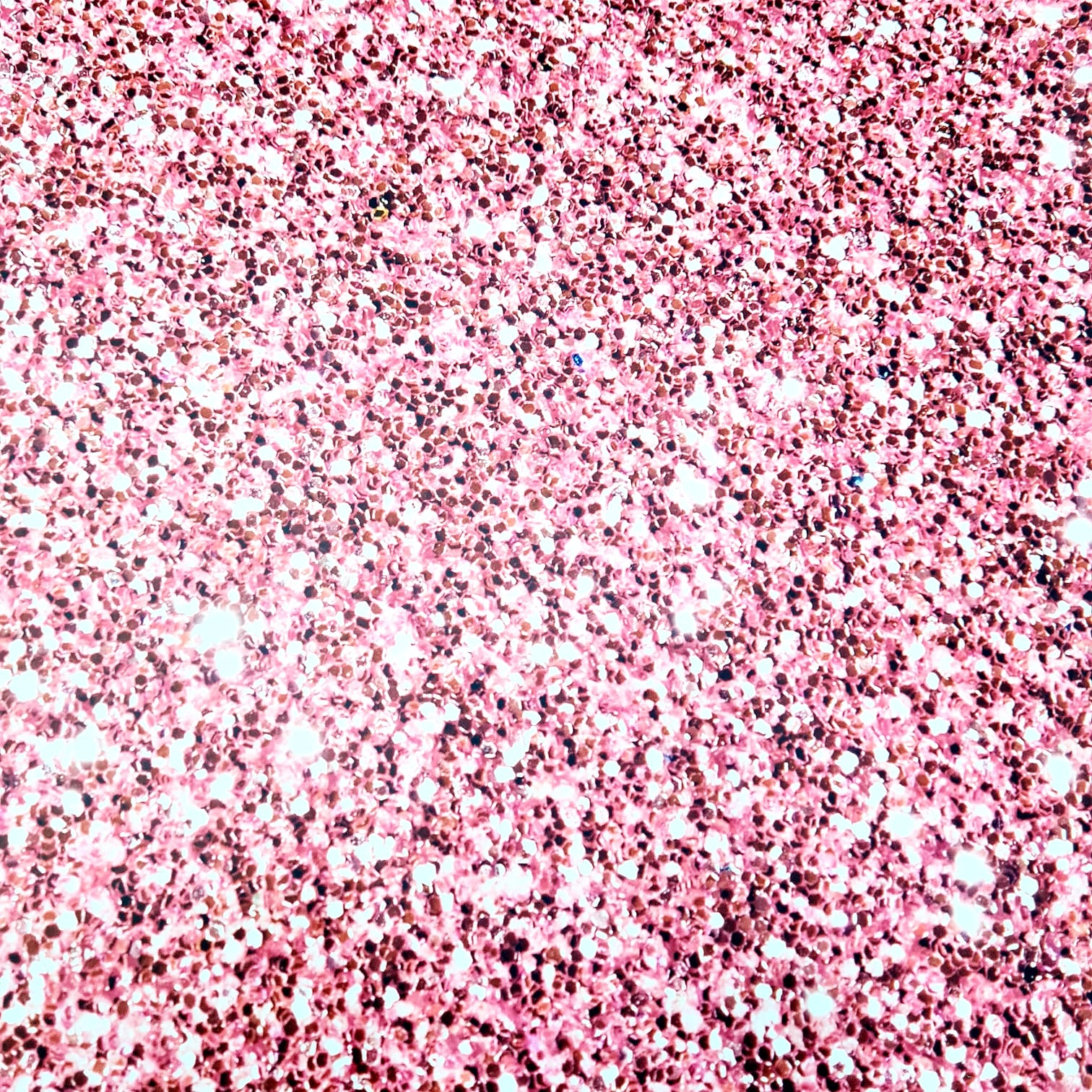 WhatsApp Image 2020-12-13 at 04.32.20 (1)